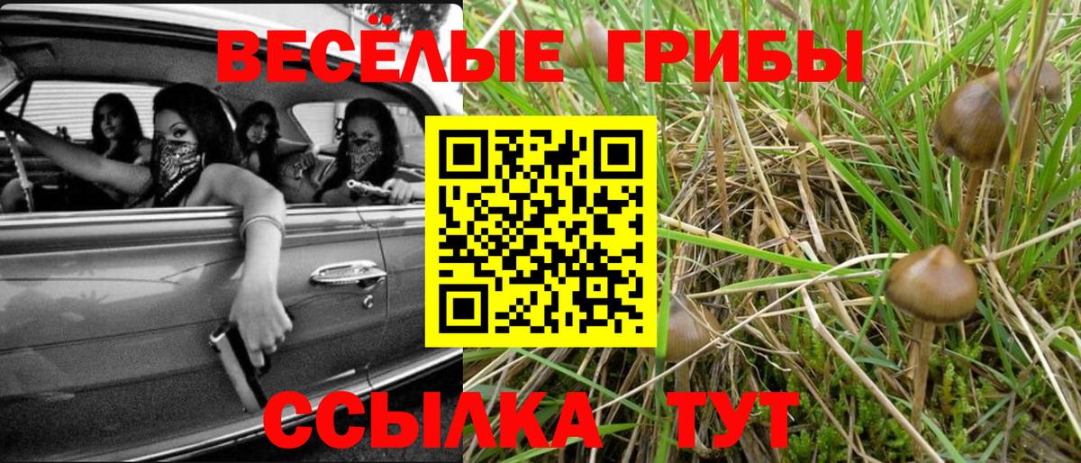 Галлюциногенные грибы прущие грибы Отрадный