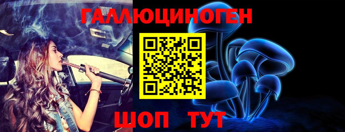 как найти закладки  Псилоцибиновые грибы мицелий  Вход с VPN  Отрадный  Псилоцибиновые грибы Psilocybe 